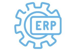 Your ERP System
