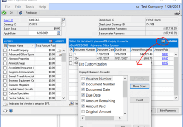 edit payment batch in GP - right hand column