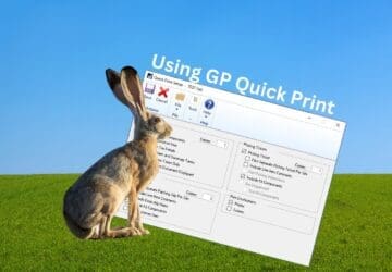 Sales Transaction Entry Quick Print in GP